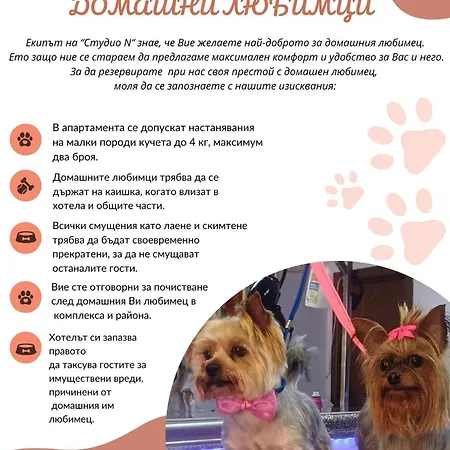 Appartement N Primorsko